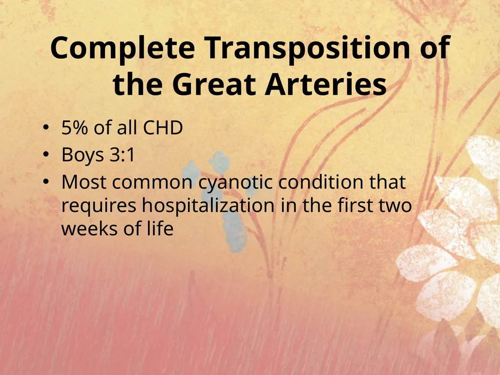 Cyanotic congenital heart disease BY MBBSPPT.COM - slide 27 of 41