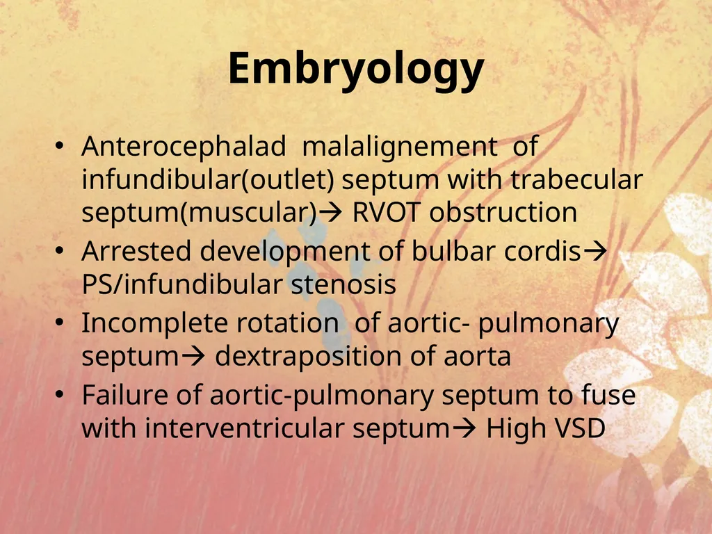 Cyanotic congenital heart disease BY MBBSPPT.COM - slide 9 of 41
