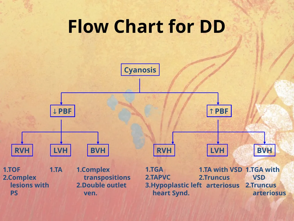 Cyanotic congenital heart disease BY MBBSPPT.COM - slide 39 of 41