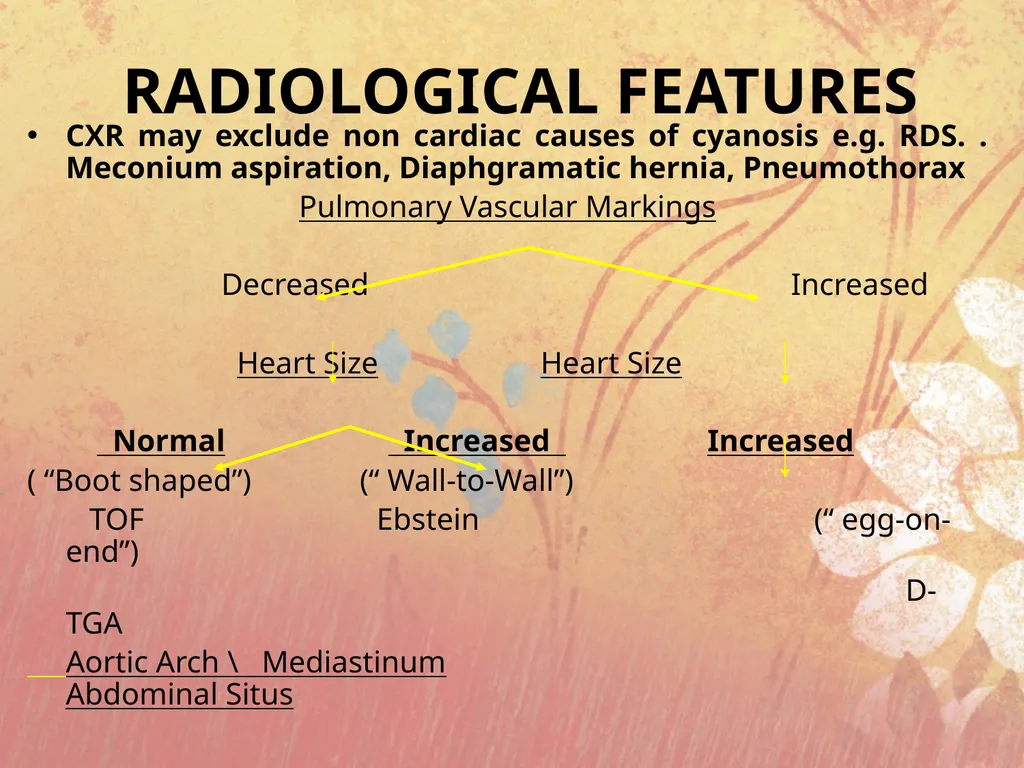 Cyanotic congenital heart disease BY MBBSPPT.COM - slide 4 of 41