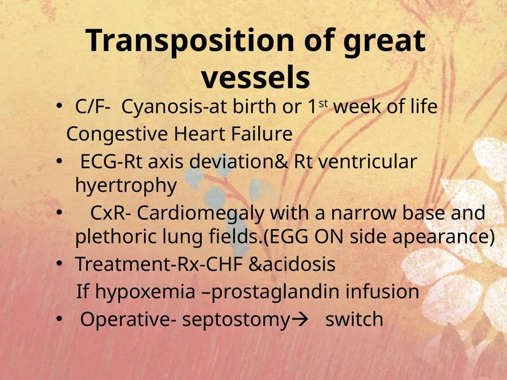 Cyanotic congenital heart disease BY MBBSPPT.COM - slide 31 of 41