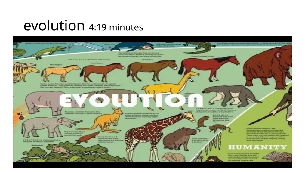 Unit 1 Evolution Section 3 Vocabulary with - slide 5 of 19