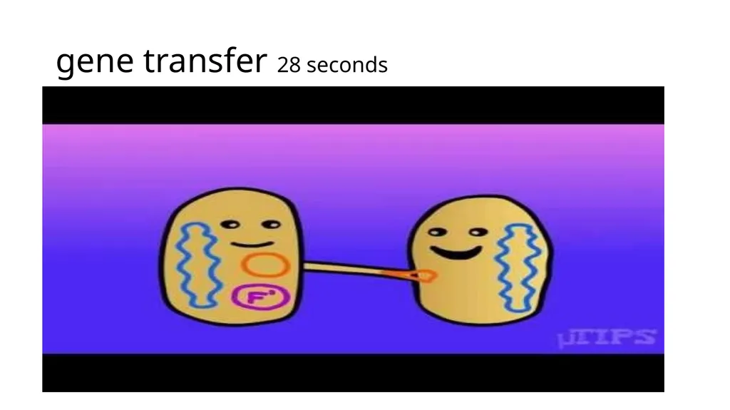 Unit 1 Evolution Section 3 Vocabulary with - slide 16 of 19