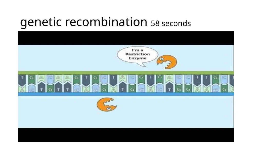 Unit 1 Evolution Section 3 Vocabulary with - slide 15 of 19