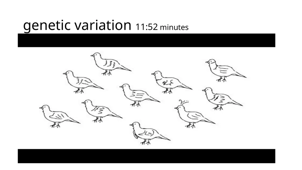 Unit 1 Evolution Section 3 Vocabulary with - slide 12 of 19