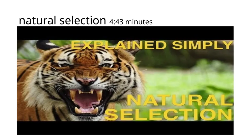 Unit 1 Evolution Section 3 Vocabulary with - slide 8 of 19
