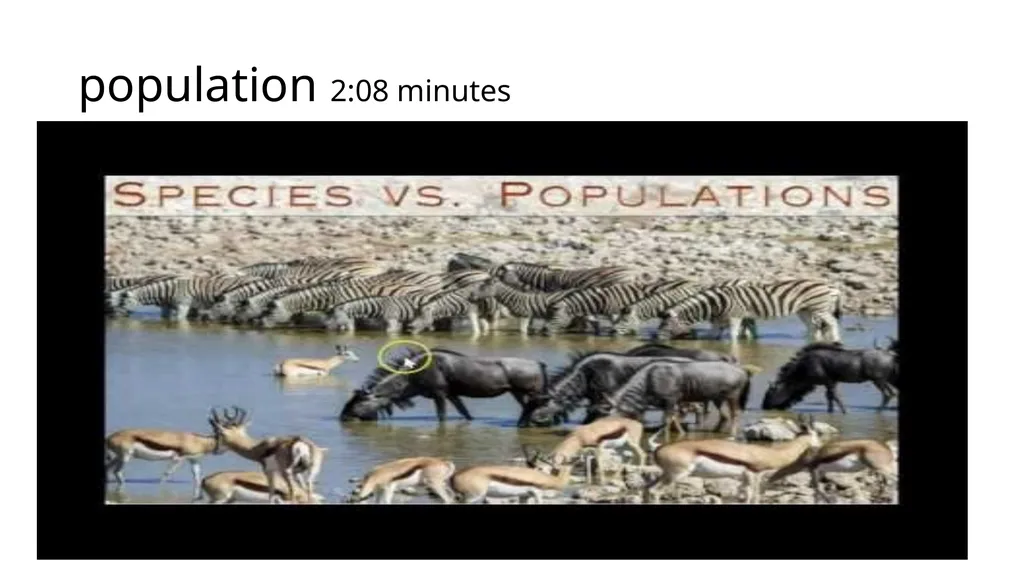 Unit 1 Evolution Section 3 Vocabulary with - slide 17 of 19