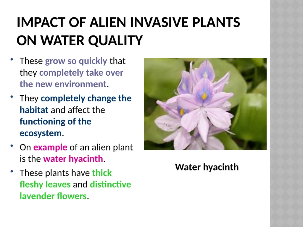 Life sciences Grade 12CAPS structured, clear, - slide 76 of 111