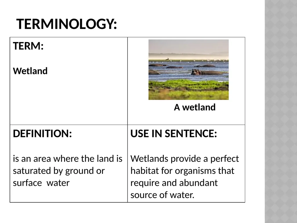 Life sciences Grade 12CAPS structured, clear, - slide 26 of 111