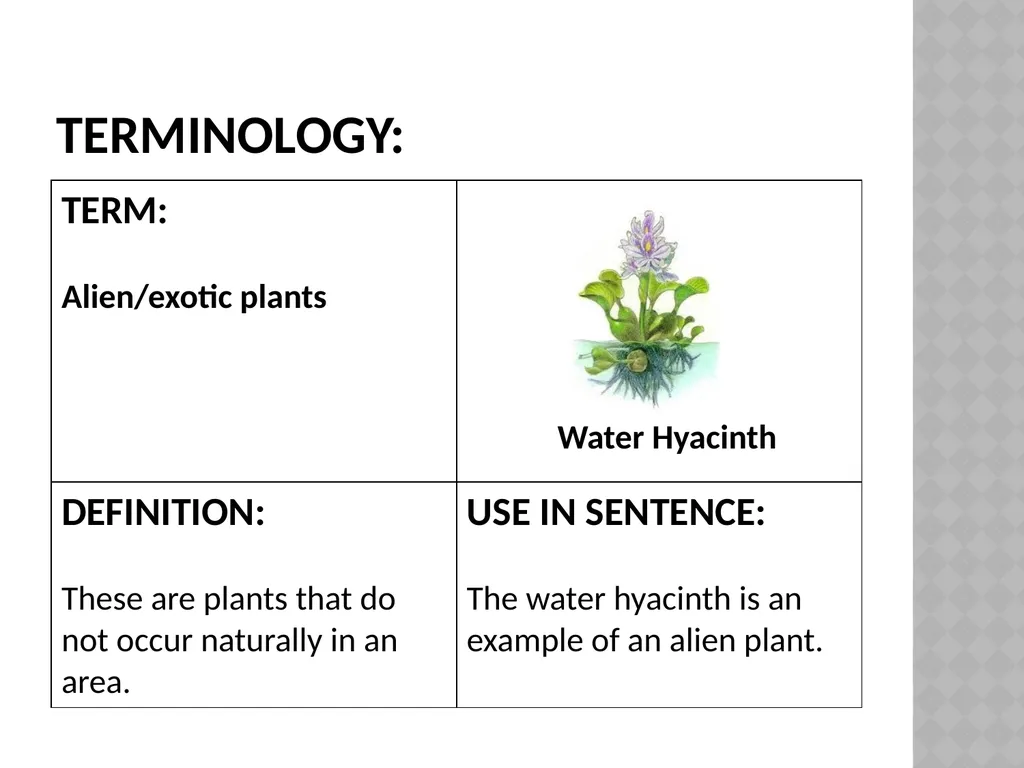 Life sciences Grade 12CAPS structured, clear, - slide 36 of 111