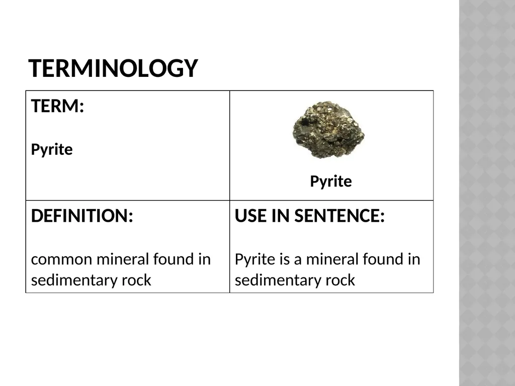 Life sciences Grade 12CAPS structured, clear, - slide 69 of 111