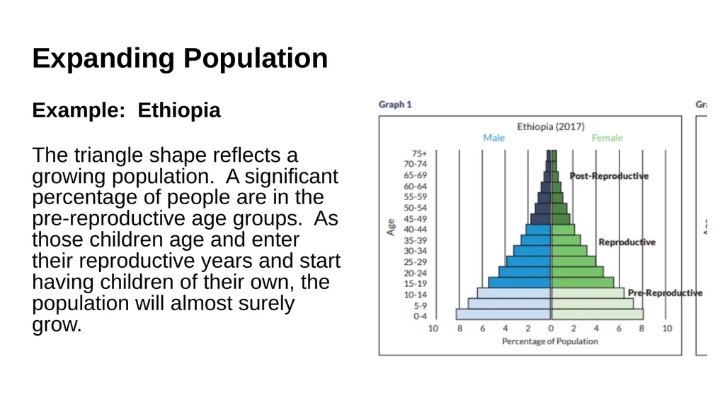 Pyramid Graphs for Studying Age Structure in - slide 8 of 24