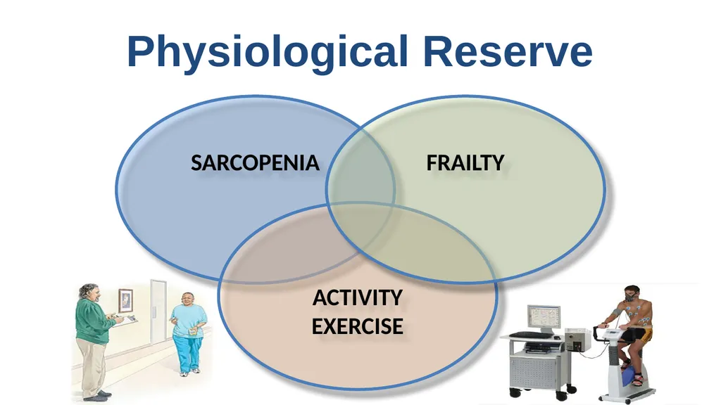What is the difference between exercise and - slide 6 of 12