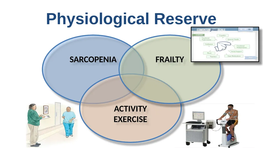 What is the difference between exercise and - slide 7 of 12