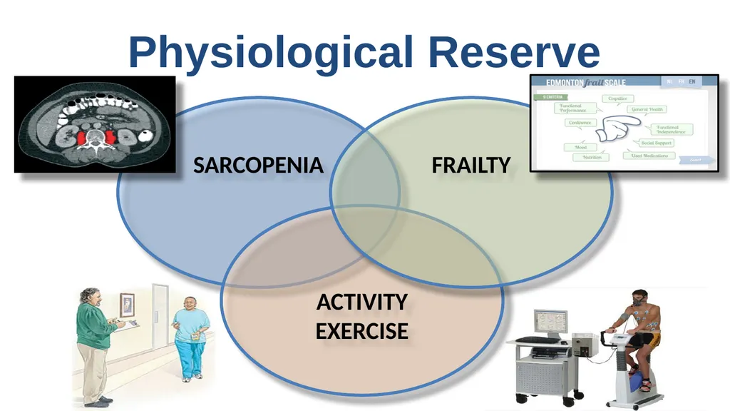 What is the difference between exercise and - slide 8 of 12