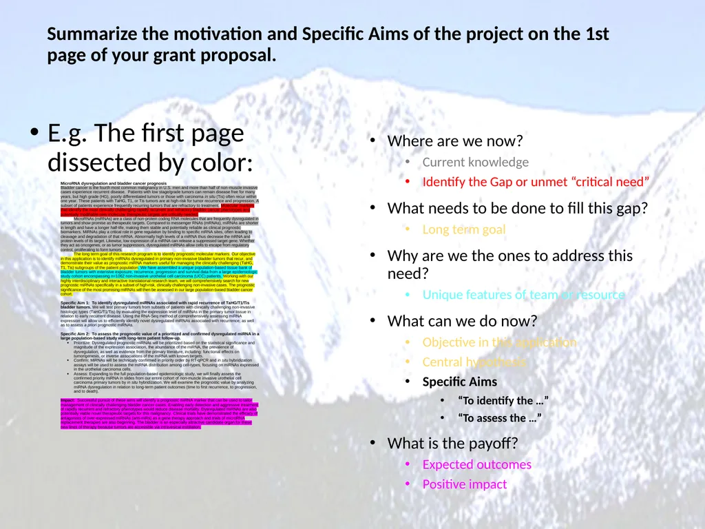 Trails to Translational Research: A step-by-step - slide 9 of 18