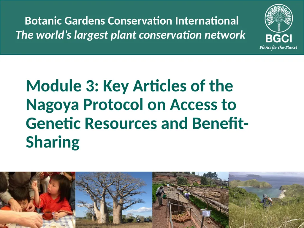 Module 3: Key Articles of the Nagoya Protocol on - slide 1 of 19
