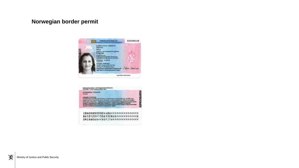 Senior Advisor Vibeke Selmer from the Norwegian - slide 10 of 11