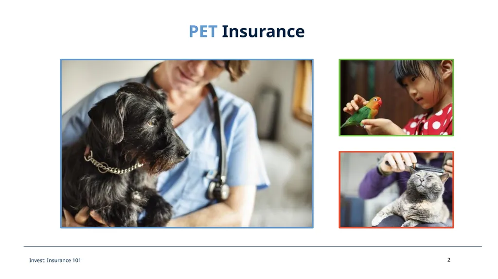 All Kinds of Insurance & Opportunities Invest - slide 2 of 18