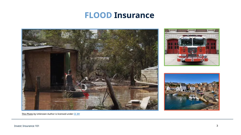 All Kinds of Insurance & Opportunities Invest - slide 3 of 18