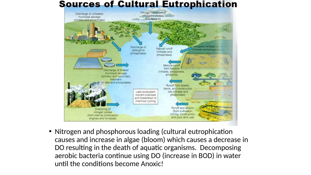 APES POLLUTION NOTES POLLUTION VOCABULARY Risk – a - slide 23 of 37