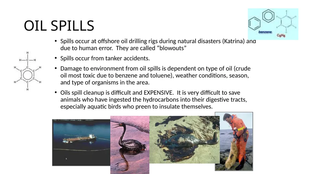 APES POLLUTION NOTES POLLUTION VOCABULARY Risk – a - slide 31 of 37