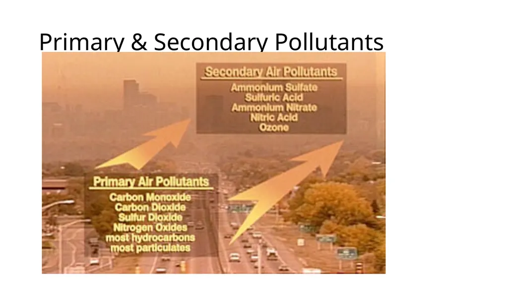 APES POLLUTION NOTES POLLUTION VOCABULARY Risk – a - slide 6 of 37