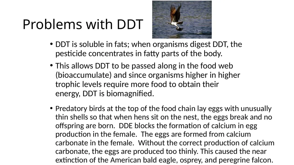 APES POLLUTION NOTES POLLUTION VOCABULARY Risk – a - slide 36 of 37