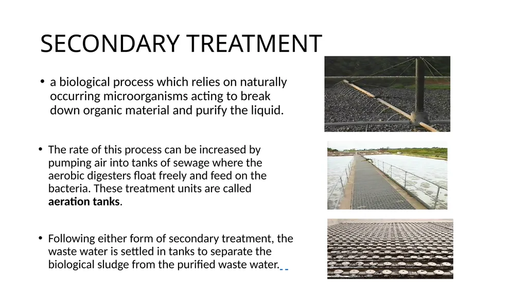 APES POLLUTION NOTES POLLUTION VOCABULARY Risk – a - slide 27 of 37