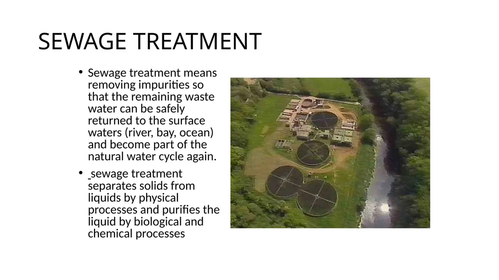 APES POLLUTION NOTES POLLUTION VOCABULARY Risk – a - slide 25 of 37