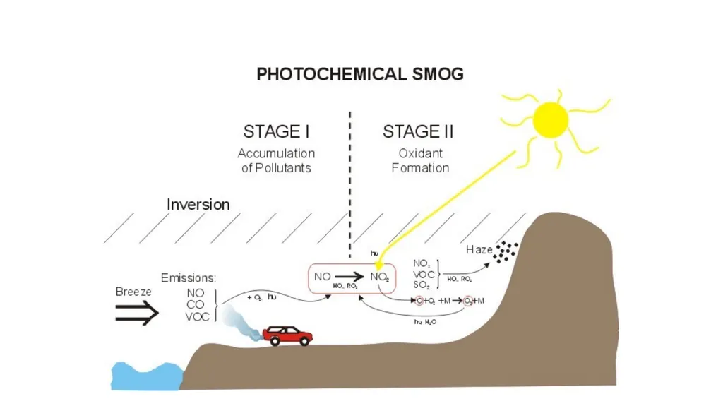 APES POLLUTION NOTES POLLUTION VOCABULARY Risk – a - slide 9 of 37