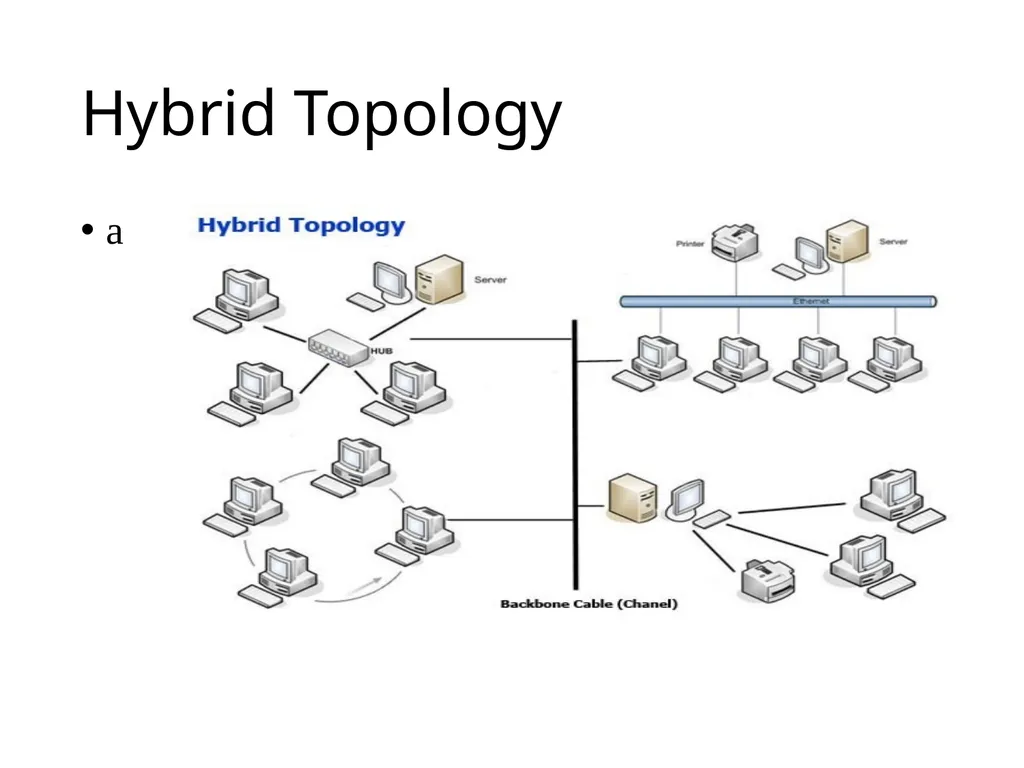 Chapter 2 Network topology and Networking devices - slide 37 of 40