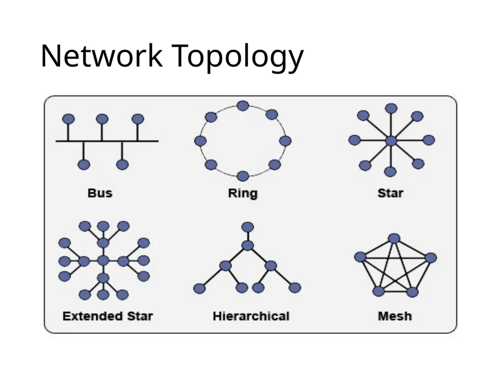 Chapter 2 Network topology and Networking devices - slide 40 of 40