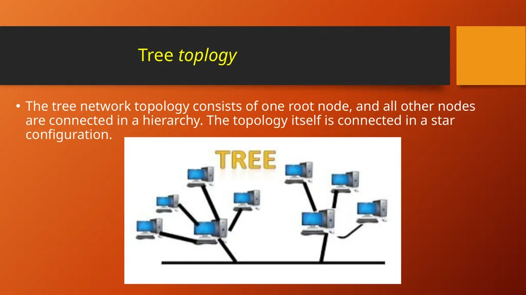 TOPOLOGY in computer networking What is topology - slide 8 of 10
