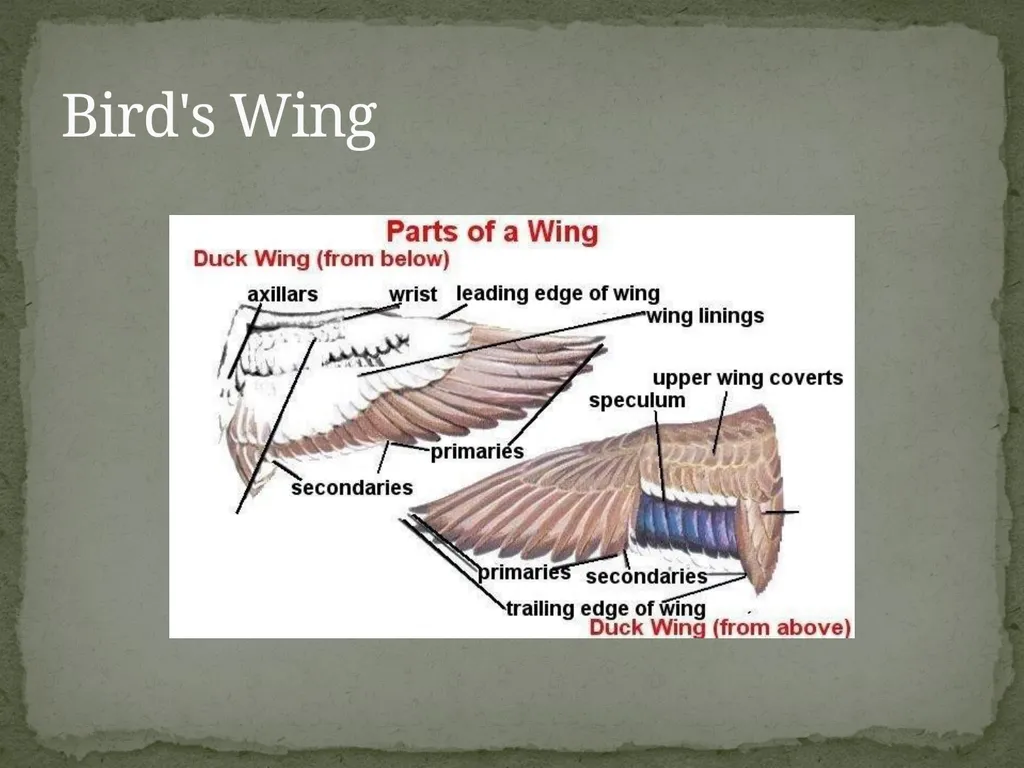 Victoria Popoola Natural Theology: The Process - slide 9 of 14