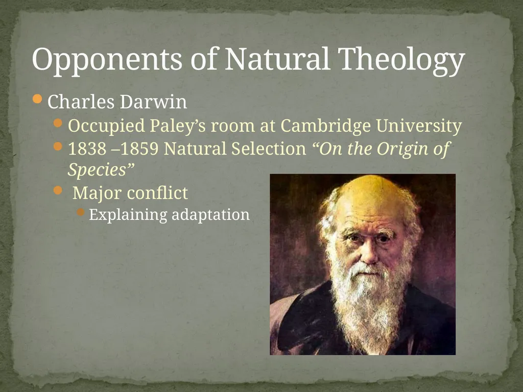 Victoria Popoola Natural Theology: The Process - slide 10 of 14