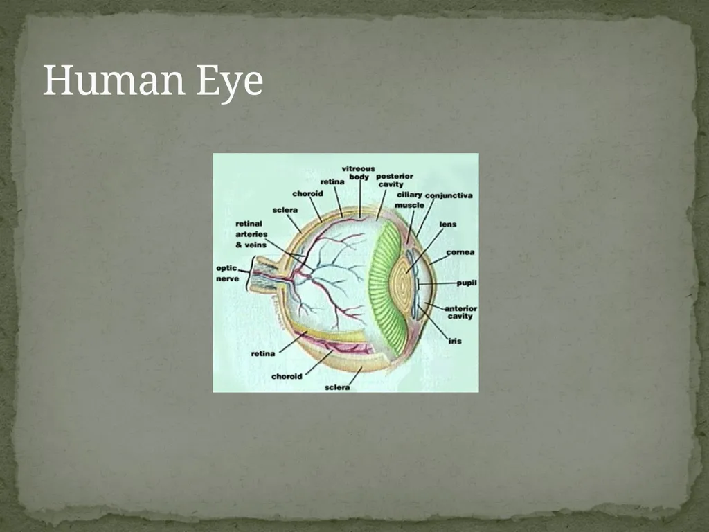 Victoria Popoola Natural Theology: The Process - slide 7 of 14