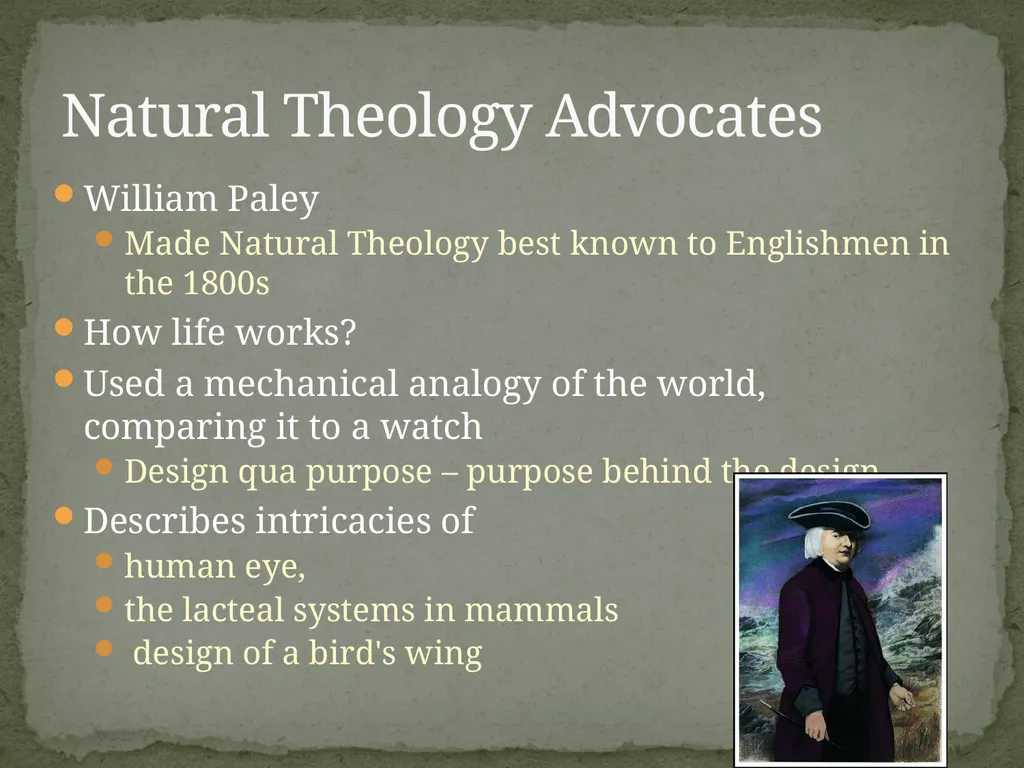 Victoria Popoola Natural Theology: The Process - slide 6 of 14