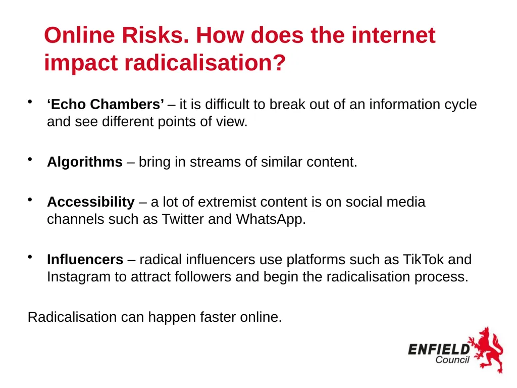 Preventing Radicalisation www.enfield.gov.uk - slide 13 of 18