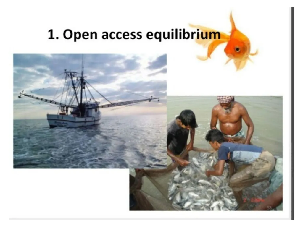 ECONOMICS-BASIC CONCEPTS IN ECONOMICS Presentation - slide 11 of 26
