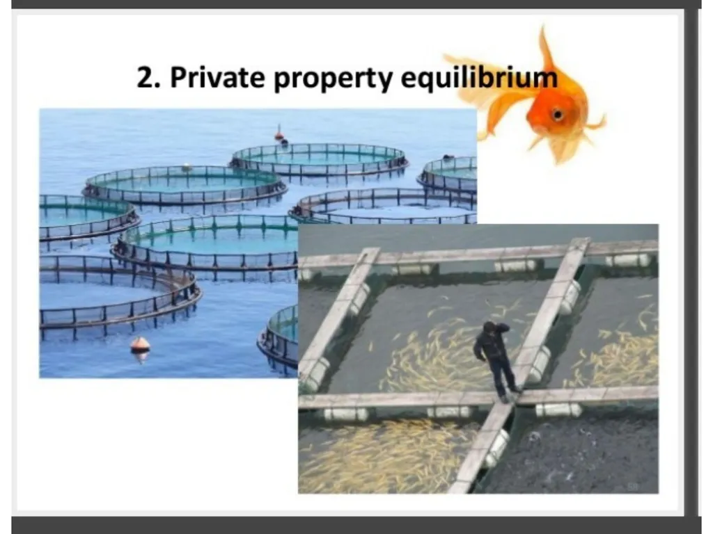 ECONOMICS-BASIC CONCEPTS IN ECONOMICS Presentation - slide 12 of 26