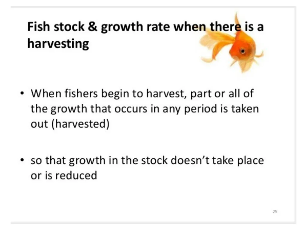 ECONOMICS-BASIC CONCEPTS IN ECONOMICS Presentation - slide 5 of 26