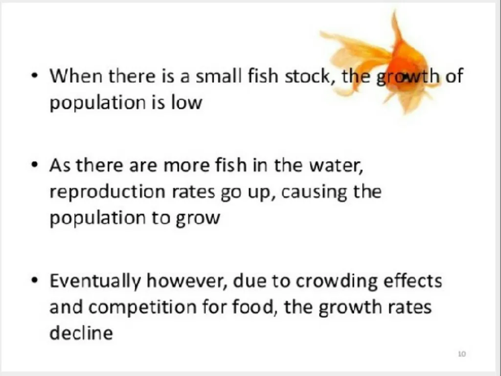 ECONOMICS-BASIC CONCEPTS IN ECONOMICS Presentation - slide 6 of 26