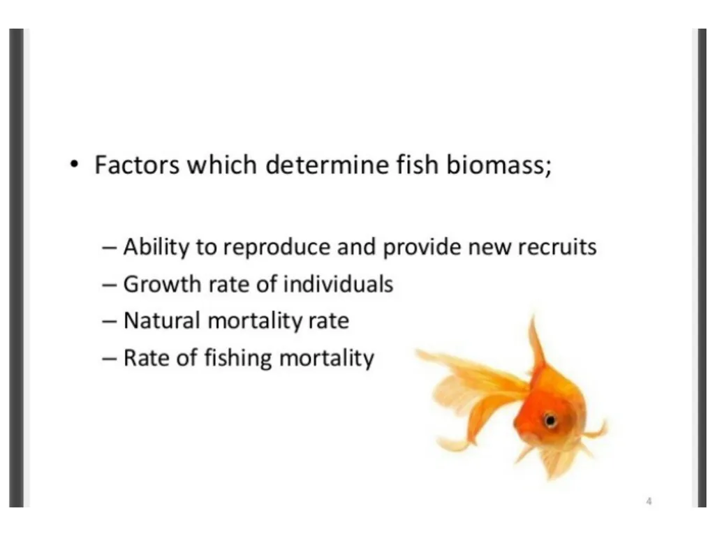 ECONOMICS-BASIC CONCEPTS IN ECONOMICS Presentation - slide 7 of 26