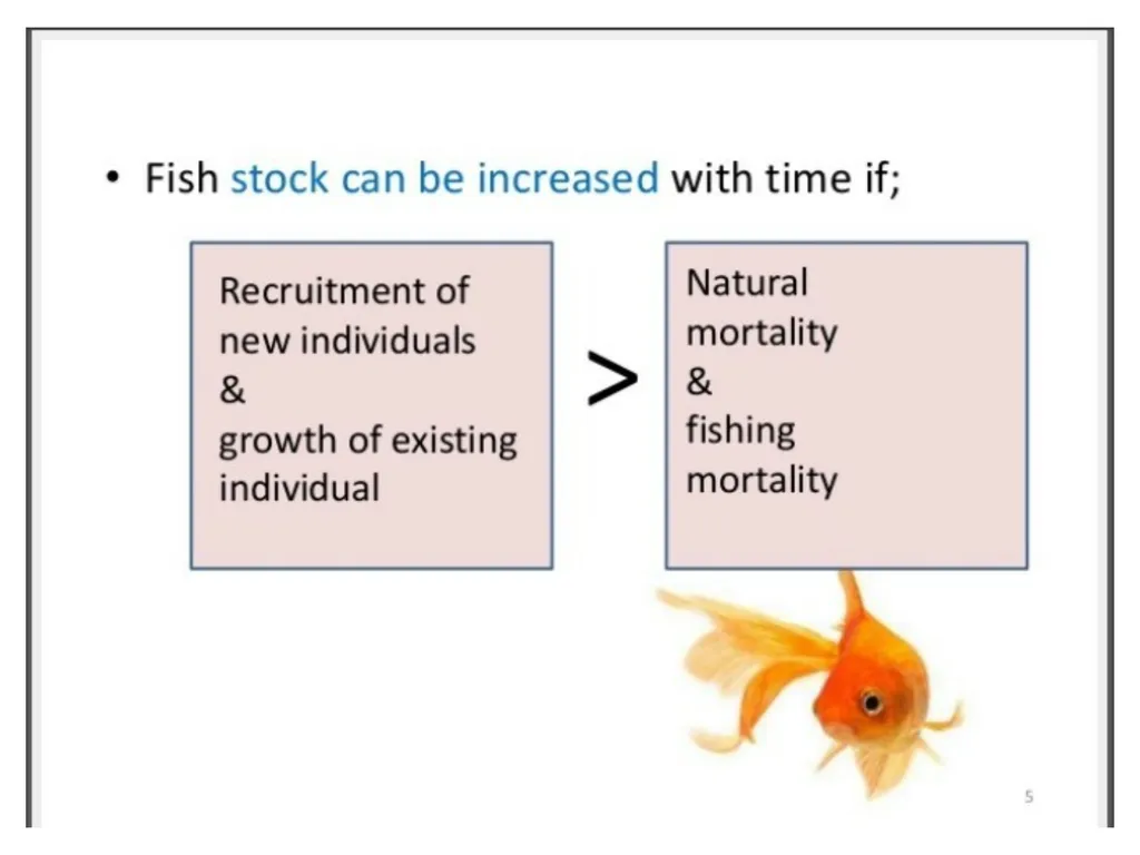 ECONOMICS-BASIC CONCEPTS IN ECONOMICS Presentation - slide 8 of 26