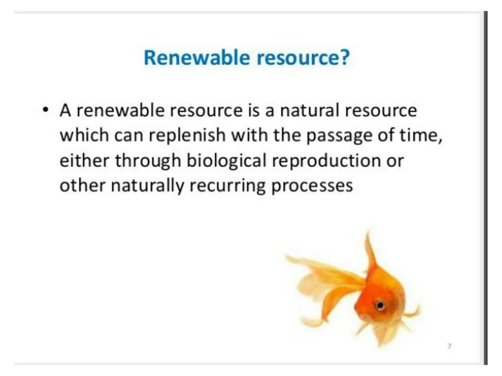 ECONOMICS-BASIC CONCEPTS IN ECONOMICS Presentation - slide 9 of 26