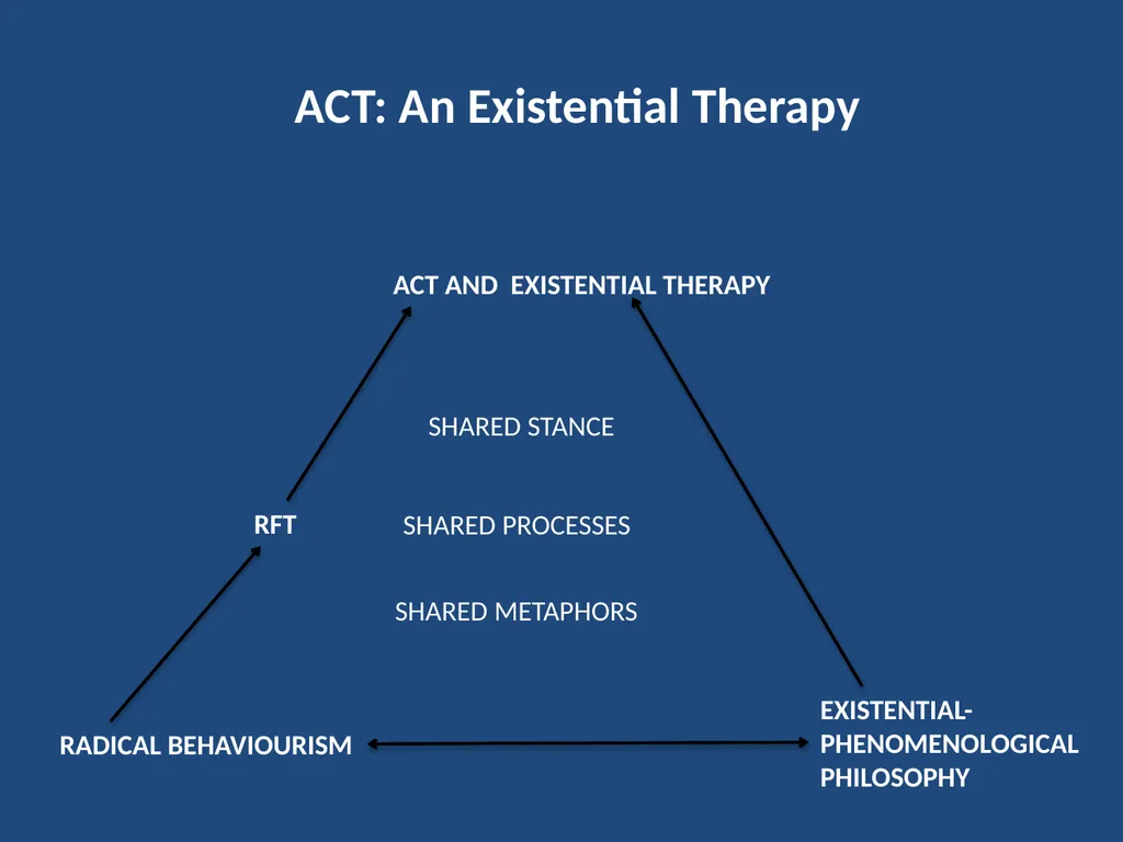 RADICAL BEHAVIOURISM RFT EXISTENTIAL- - slide 18 of 20