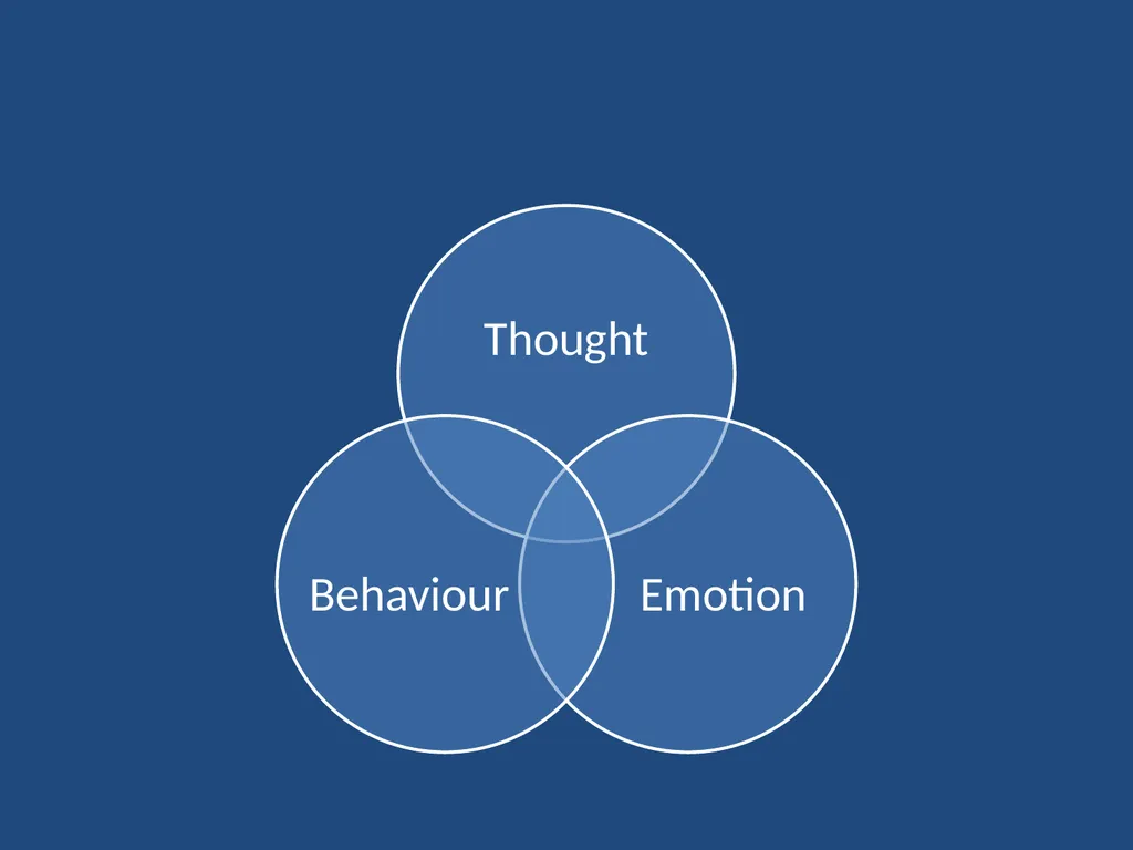RADICAL BEHAVIOURISM RFT EXISTENTIAL- - slide 12 of 20