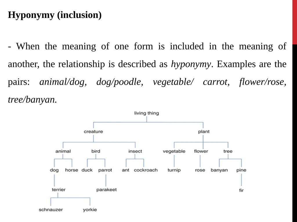 Semantics by Dr. Salah Al-Bahadily Semantics is - slide 11 of 16