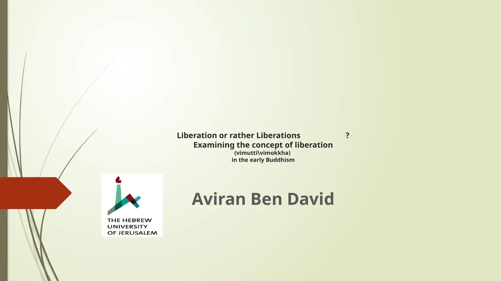 ?Liberation or rather Liberations Examining the - slide 1 of 16